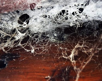 Cocoon canvas