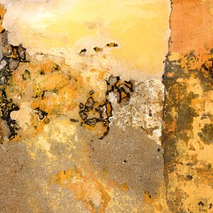 Art Photography: "Eternal Summer"