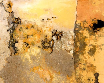 Art Photography: "Eternal Summer"