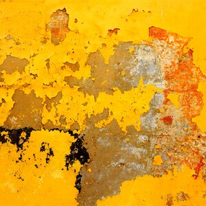 Yellows