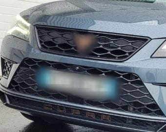 Copper covering for ATECA front lettering