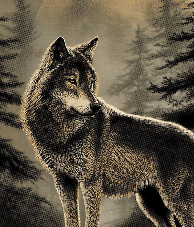 Wolf PNG Vintage Style, Wildlife Clipart, Timberwolf Graphic, Digital ...