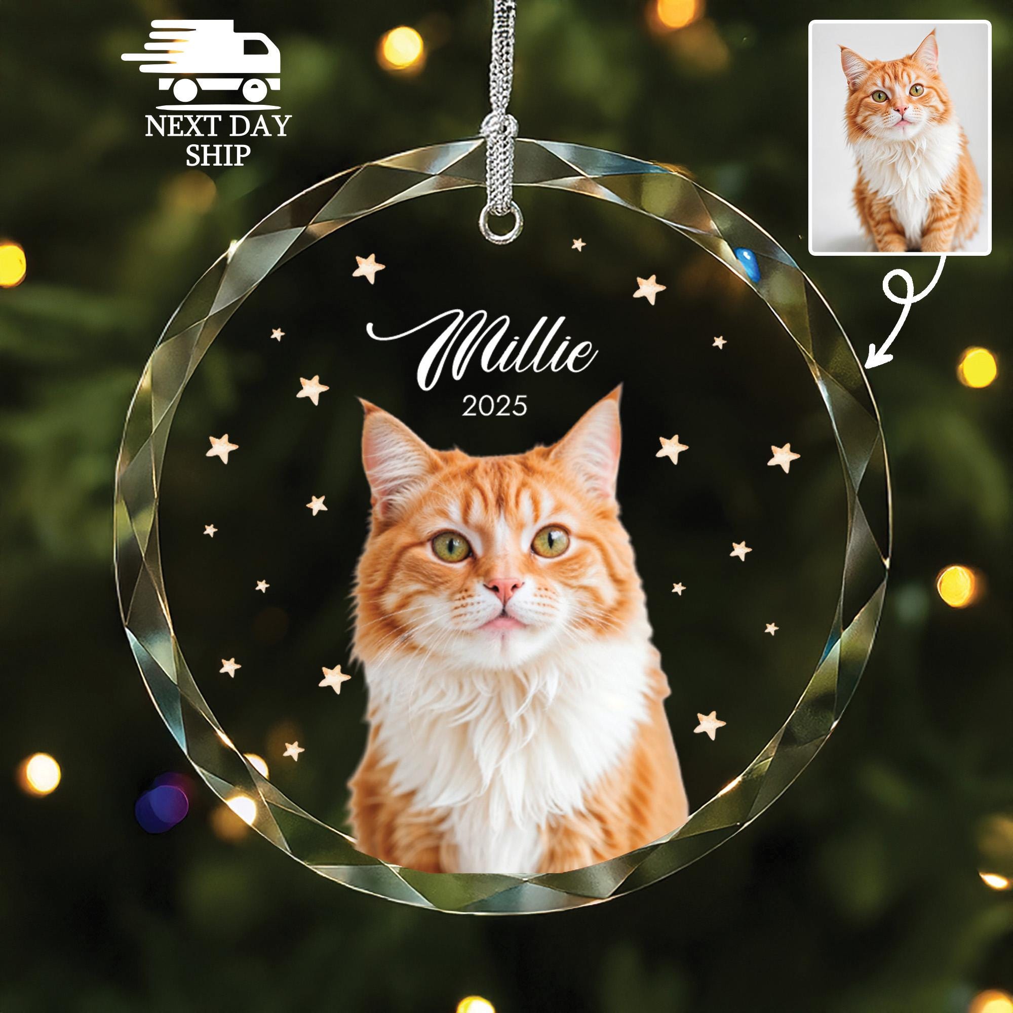 Cat Dog Christmas Ornament 2025, Cat Dog Photo Glass Ornament, Cat Lover Gift, Gift for Cat Owners, Christmas Tree Keepsake with Pet Name
