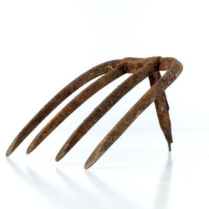 May include: A rusty metal garden hand rake with four tines. The rake is isolated on a white background.