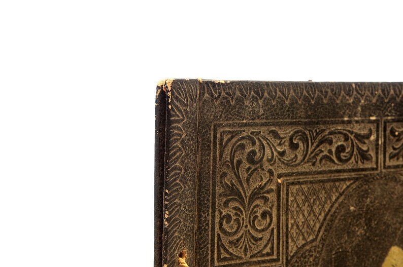 May include: Close-up of the corner of a dark brown leather-bound book with an intricate embossed floral design.
