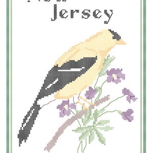 New Jersey State Bird, Flower and Motto Cross Stitch Pattern PDF - Etsy