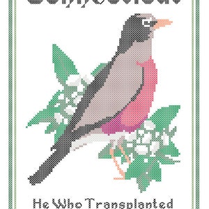 Connecticut State Bird, Flower and Motto Cross Stitch Pattern PDF