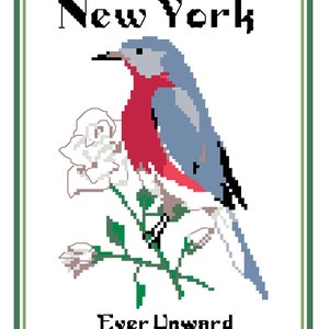 New York State Bird, Flower and Motto Cross Stitch Pattern PDF image 3