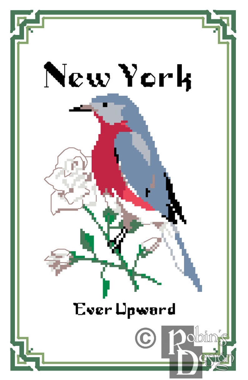 New York State Bird, Flower and Motto Cross Stitch Pattern PDF image 3