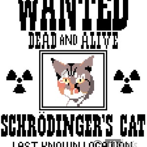 Il gatto di Schrodinger schema punto croce PDF