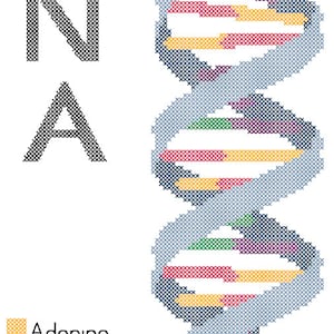 DNA Strang Kreuzstichanleitung PDF