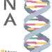 DNA Strand Cross Stitch Pattern PDF