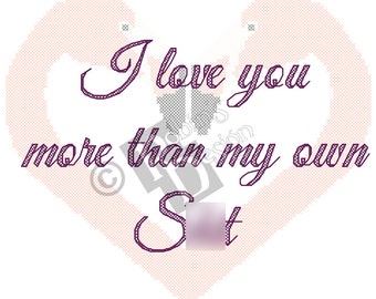 I Love You More Than My Own S%#t Cross Stitch Pattern PDF