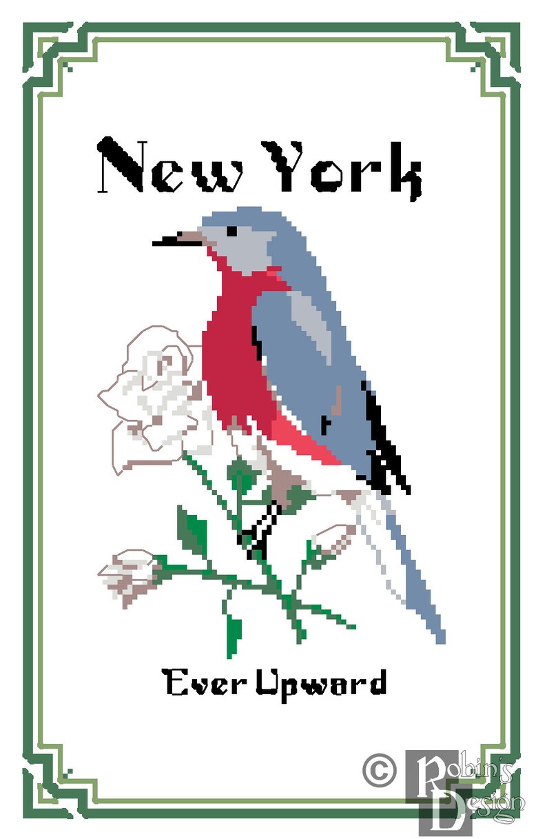 New York State Bird, Flower and Motto Cross Stitch Pattern PDF image 4