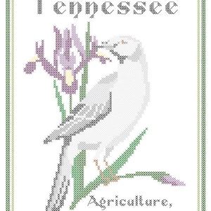 Könnte beinhalten: Stickmuster mit einem grauen Vogel, der auf einer grünen Pflanze mit violetten Blüten sitzt. Der Text "Tennessee, Agriculture, Commerce" befindet sich unter dem Vogel. Das Muster stammt von Robin's Design.