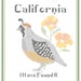 California State Bird, Flower and Motto Cross Stitch Pattern PDF
