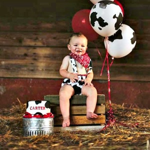 Farm cake smash outfit 2025