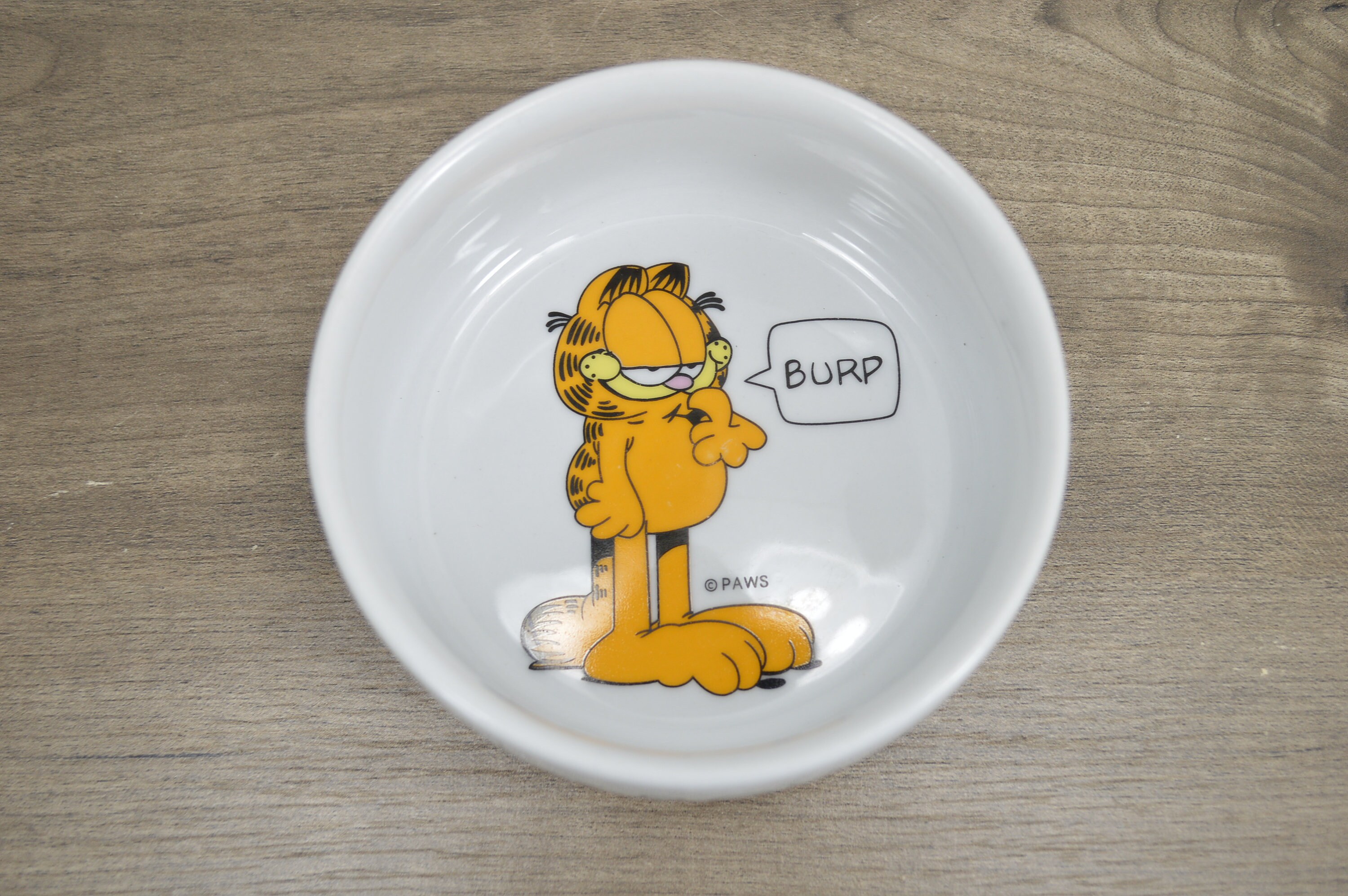 Vintage Garfield pet food water bowl dish Garfields Burp My Etsy