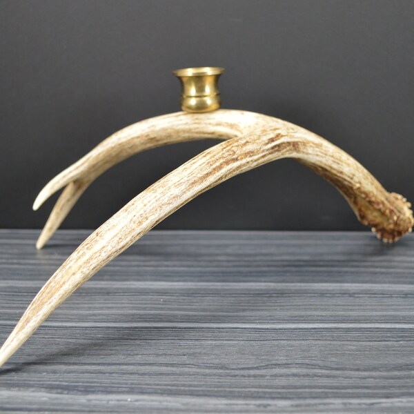 Deer Antler Candle Holder Etsy