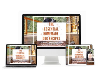 Healthy and Delicious Dog Recipes - 67 Homemade Treats and Meals