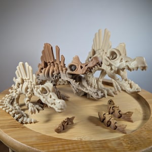 Flexi Skeleton Spinosaurus – Interactve Articulated Dinosaur Fidget/Sensory Toy