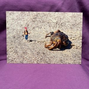 Cancer me / Cartoline Mare Spiaggia Mar Baltico Figure natalizie SPO Figure in miniatura Mare del Nord Fotografia artistica Regalo di compleanno punk