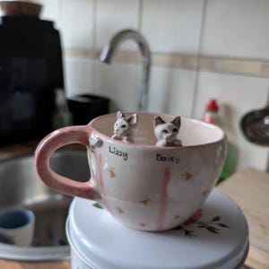 May include: A pink teacup with a white interior and a pink handle. Two small ceramic cat figurines are perched on the rim of the cup. The cat figurines are white with black markings. The cup has the names "Lizzy" and "Daisy" written on it.