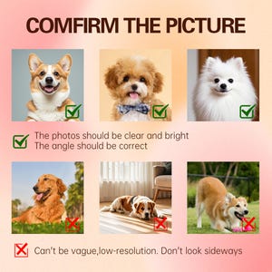 May include: An image with the text "COMFIRM THE PICTURE" and pictures of dogs. The text below the images says "The photos should be clear and bright. The angle should be correct." and "Can't be vague, low-resolution. Don't look sideways."