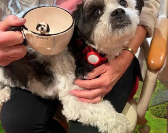 Gepersonaliseerde huisdiermok aangepaste huisdiermok keramische kiekeboemok/koffiemok met verborgen dieren/aangepaste kat en hond keramische mok/cadeau voor hondeigenaar/hondmok