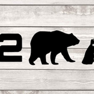 2A SVG, Right to Bear Arms SVG, 2e amendement SVG, Cricut SVG, grappige SVG, digitaal bestand
