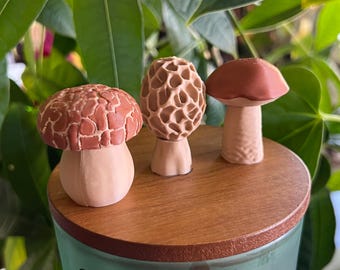 Mushroom Fidget Toy