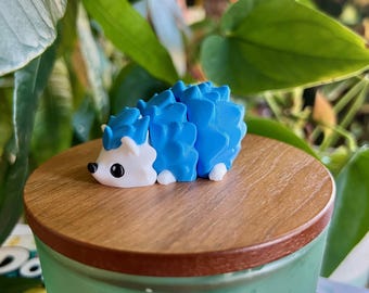 Hedgehog Buddy