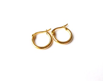 Small Gold Hoop Earrings: Stainless Steel Minimalist Earrings