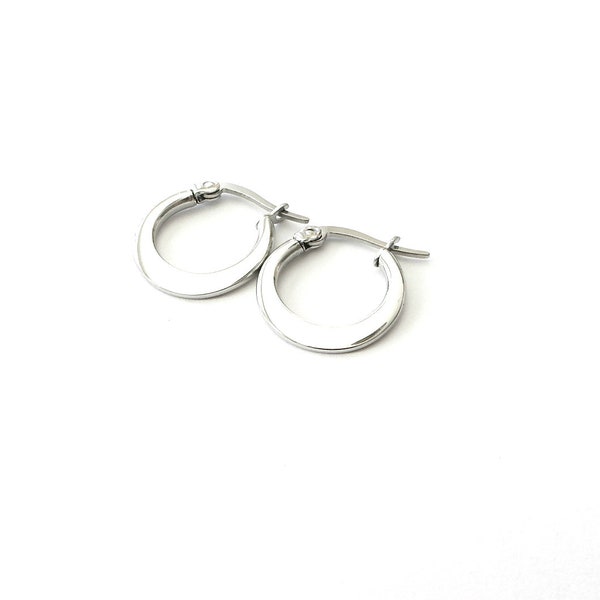 Stainless Steel Hoop Earrings, Small Hoop, Everyday Earrings, Minimal Hoop Earrings, Sleek Clean Earrings, Gift for Woman, Flat Hoop Earring