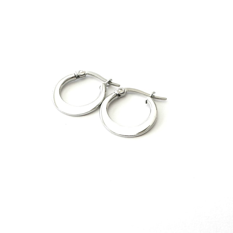 Stainless Steel Hoop Earrings Small Hoop Everyday Earrings Etsy