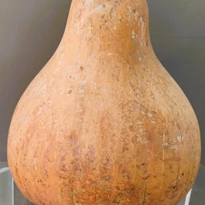 May include: A gourd-shaped, terracotta-colored vase with a wide, rounded base and a narrow neck. The surface has a textured appearance with darker spots and imperfections, suggesting a natural, handcrafted origin. The opening at the top is dark brown.