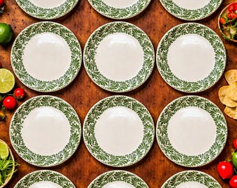 Juego de 12 platos llanos de Talavera pintados a mano con diseño floral verde, México