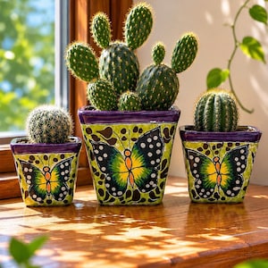Set of 3 | Talavera Butterfly Mini Maceta Handmade