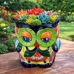 May include: A colorful owl-shaped ceramic planter filled with various succulents. The planter features a vibrant design with green, orange, yellow, and blue hues. The succulents include shades of green, red, and blue, creating a striking contrast.