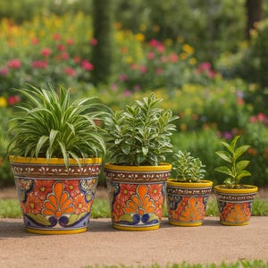 Puede incluir: Cuatro macetas de cerámica decorativas con plantas. Las macetas tienen un borde amarillo y una banda marrón con un diseño floral en naranja, azul y amarillo. Las plantas son verdes y de diferentes tamaños.
