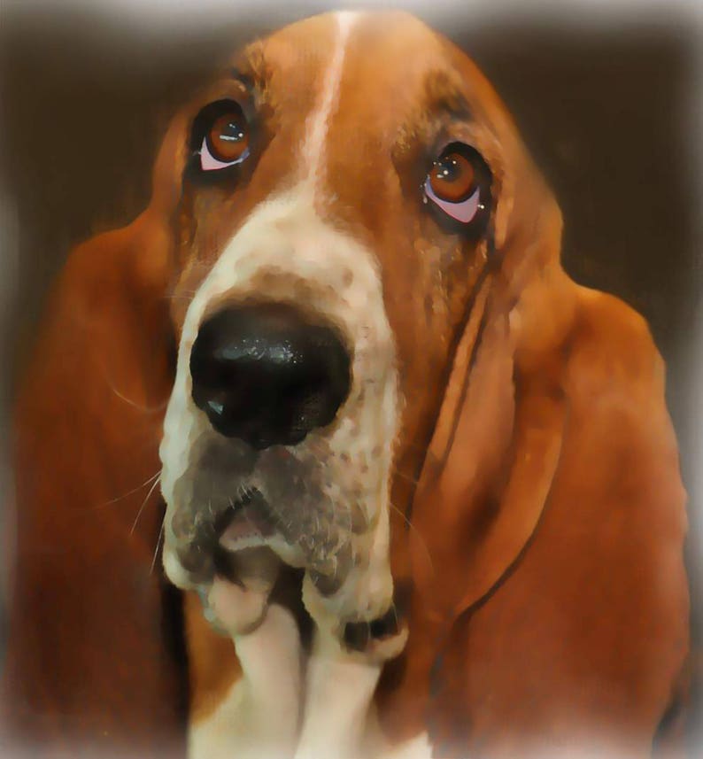 Basset Hound Portrait dog breed fabric