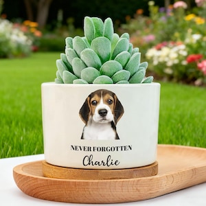 May include: A white ceramic plant pot featuring a beagle portrait, the words "NEVER FORGOTTEN" and the name "Charlie". The pot contains a green succulent and rests on a wooden tray. A garden with flowers and grass is in the background.