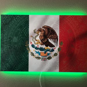 Mexico Flag LED Neon Sign, Custom Wall Decor (24x16)