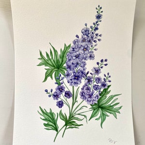 Birth Flower Original Watercolor Illustrations