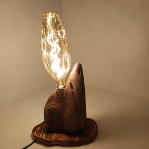 Lampe en bois flotté, lampe en bois, décoration en bois flotté, décoration de plage, art du bois flotté, littoral, décoration naturelle, décoration intérieure, éclairage artisanal unique
