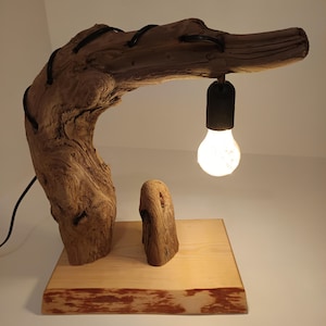 Lampe en bois flotté, Lampe de table, Lampe en bois unique, Fabriqué à la main, Éclairage, Décoration d'intérieur