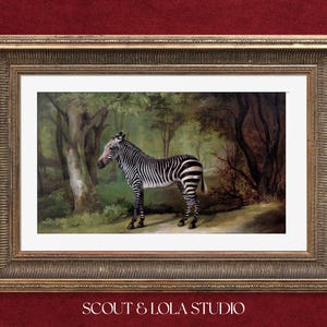 1763 Vintage Art Print - Wild Zebra Antique Illustration - Digital Download for Unique Wall Decor