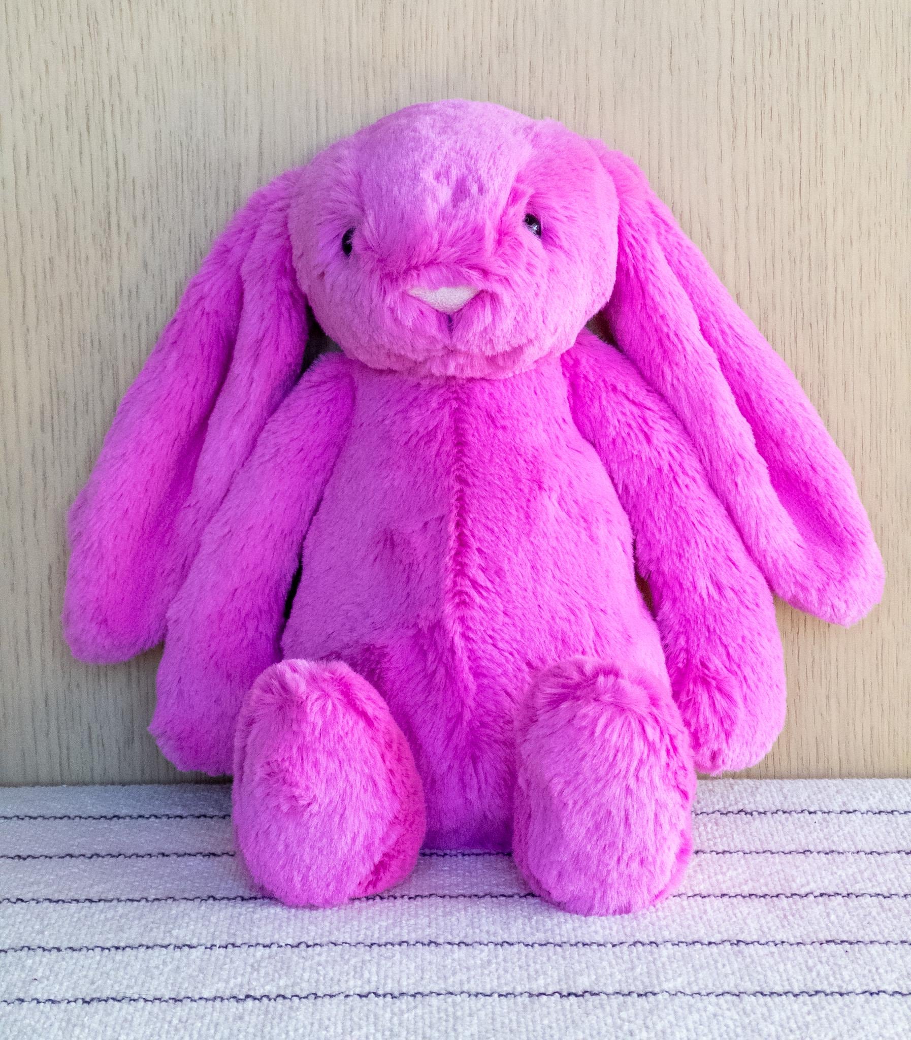 Jellycat Hot Pink Bashful Bunny (medium) VHTF RETIRED NWT - Etsy