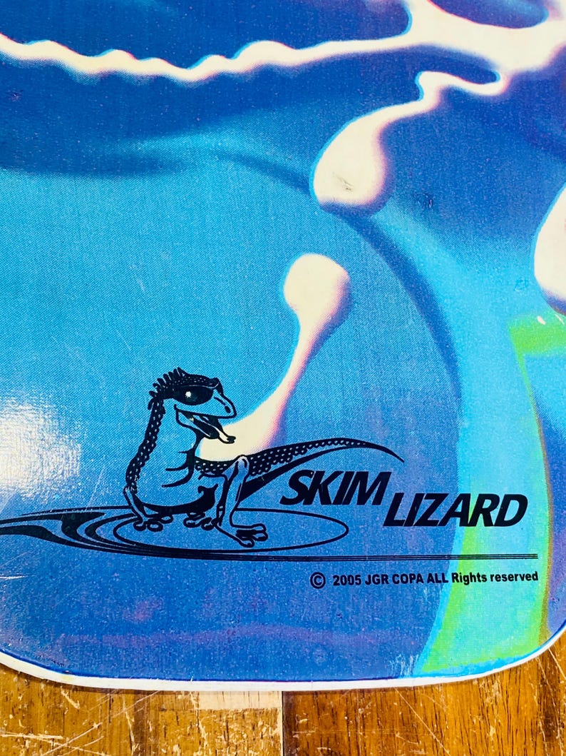 May include: A blue and green abstract design with a black cartoon lizard wearing sunglasses. The text "SKIM LIZARD" is printed in black. The copyright information reads "&copy; 2005 JGR COPA ALL Rights reserved".