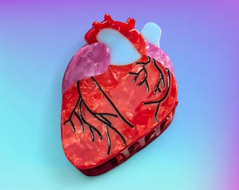 Anatomical Heart Hair Claw: Acrylic Medical Statement Clip